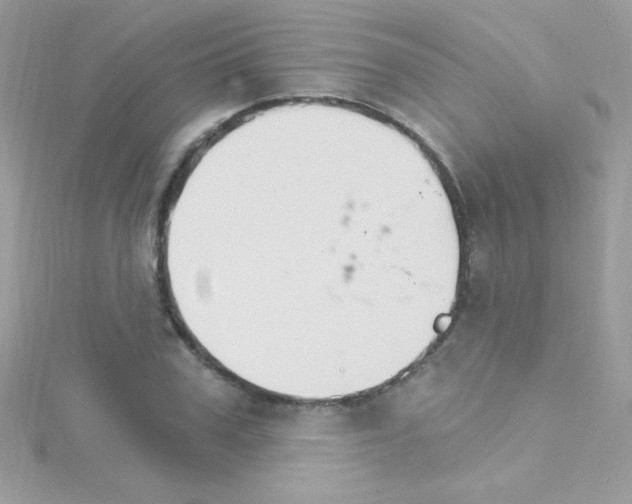 X0000114400979200911271514