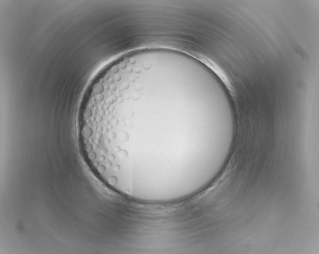 X0000114400980200911271514