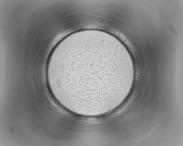 X0000114400986200911271514