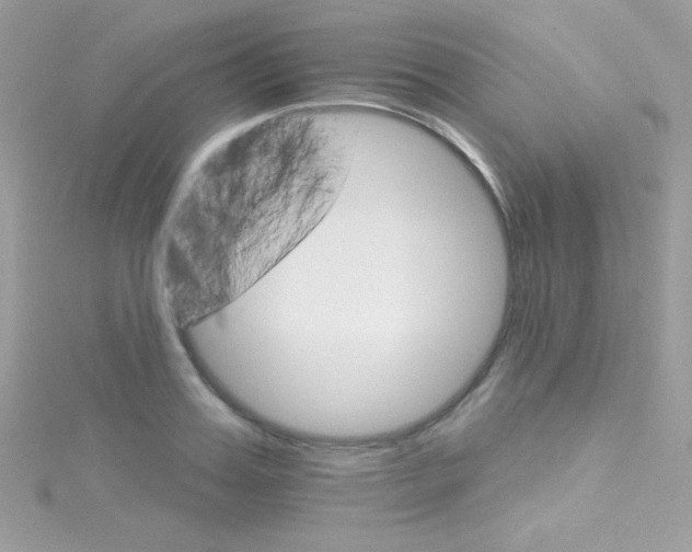 X0000114400987200911271514