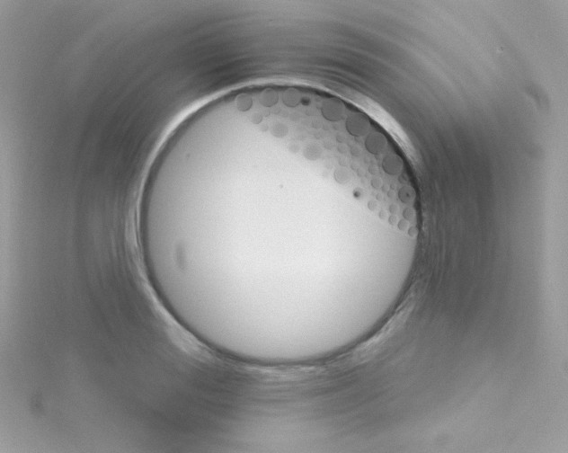 X0000114400988200911271514