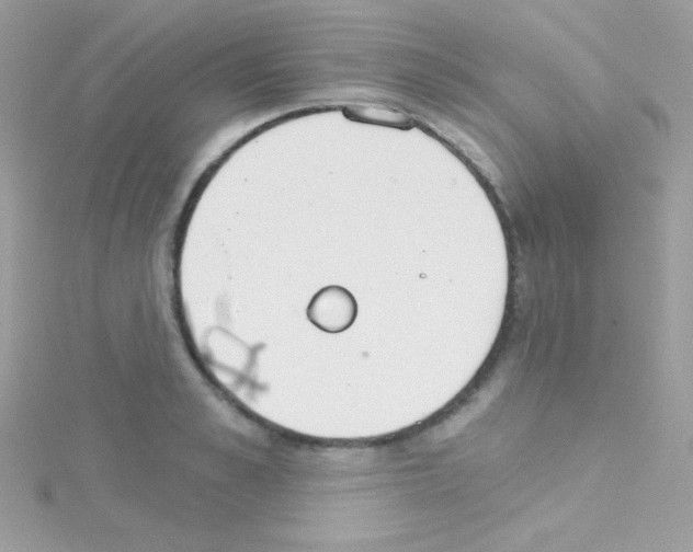 X0000114400989200911271514