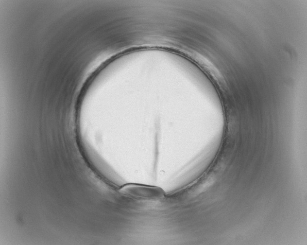 X0000114400990200911271514