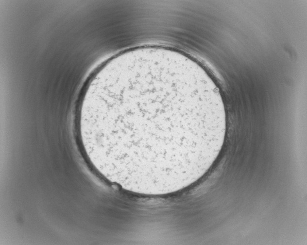 X0000114400991200911271514