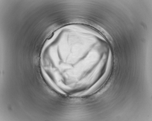 X0000114400993200911271514