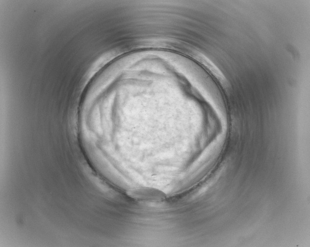 X0000114400994200911271514