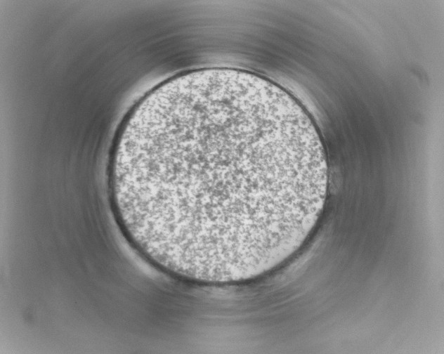 X0000114400995200911271514