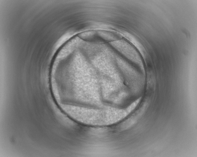 X0000114400997200911271514