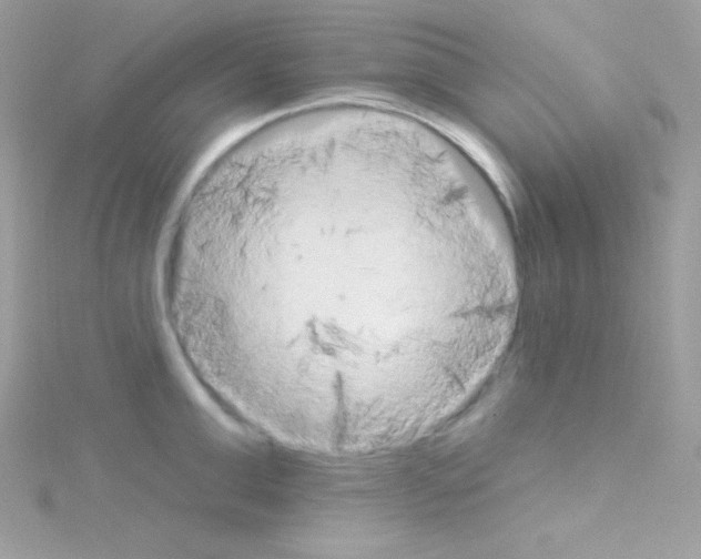 X0000114400999200911271514