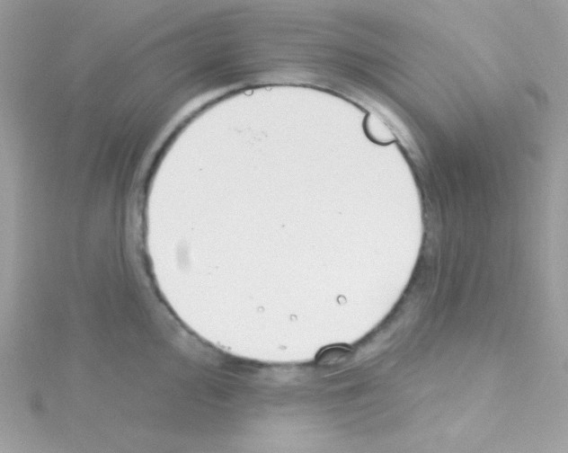 X0000114401000200911271514