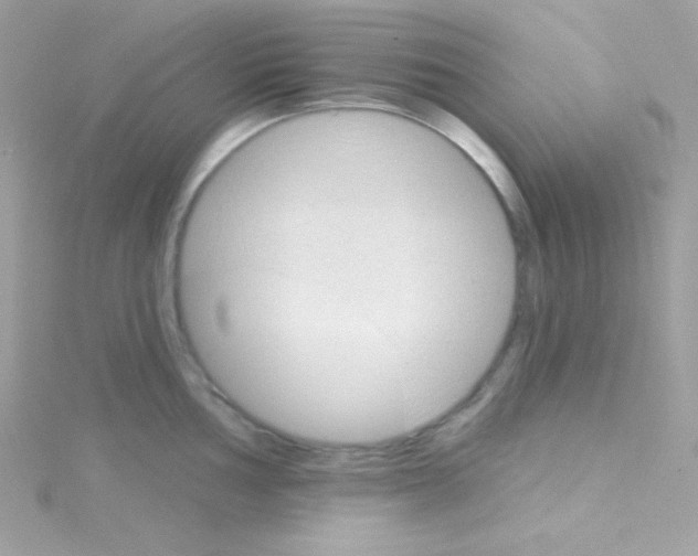 X0000114401002200911271514