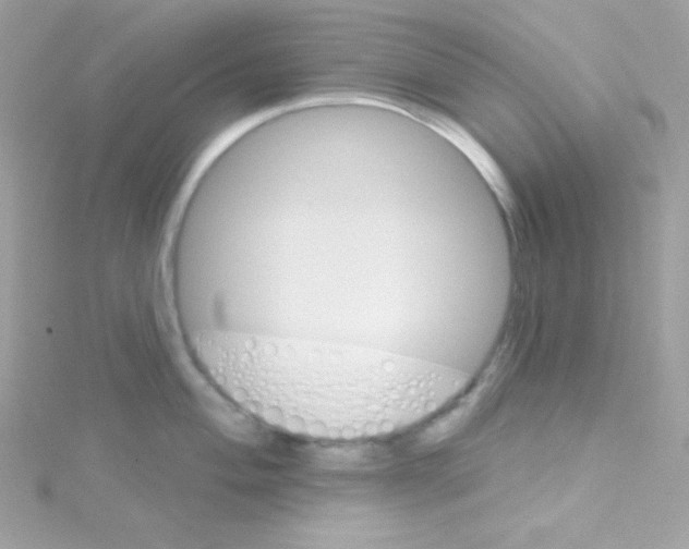 X0000114401004200911271514