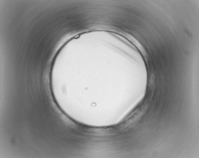 X0000114401005200911271514