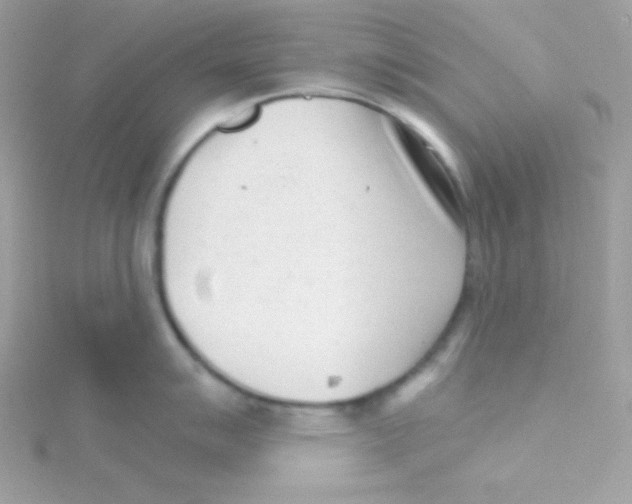 X0000114401007200911271514