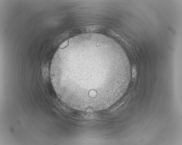 X0000114401011200911271513