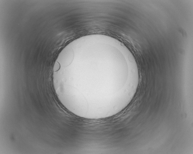 X0000114401012200911271513