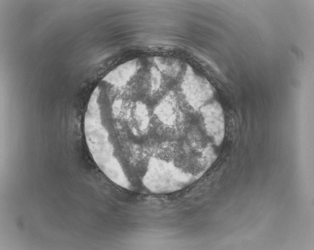 X0000114401013200911271513