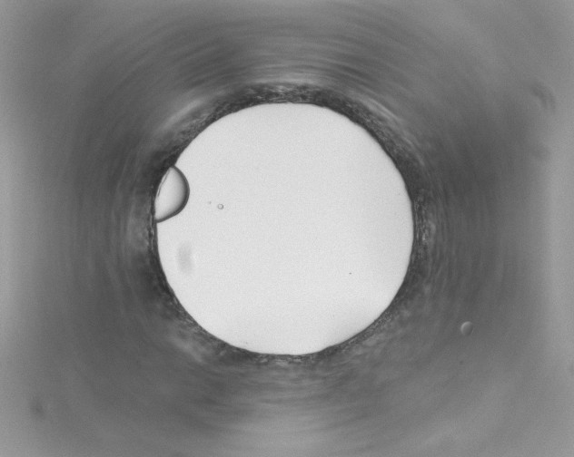 X0000114401014200911271513