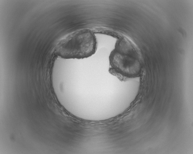 X0000114401016200911271513