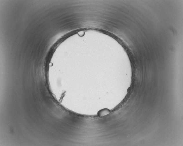 X0000114401022200911271513