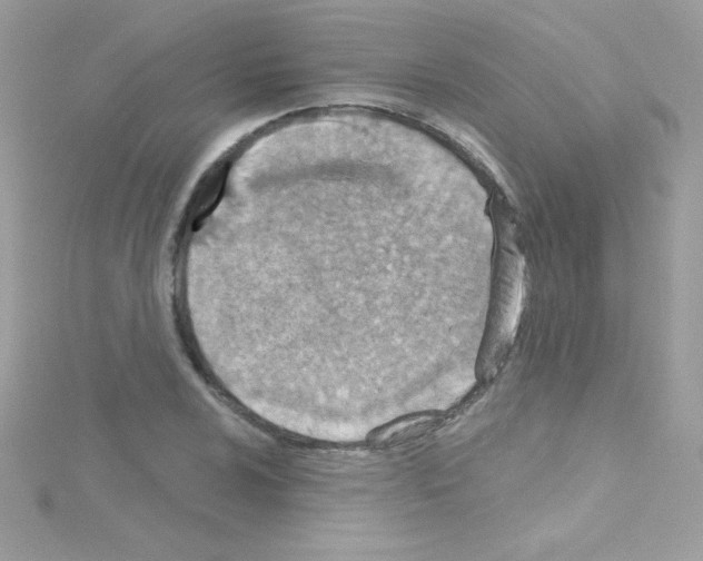 X0000114401024200911271513