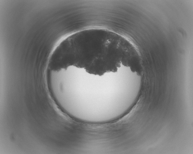 X0000114401030200911271513