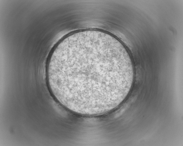 X0000114401031200911271513