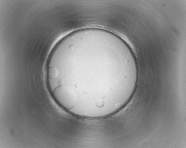 X0000114401032200911271513