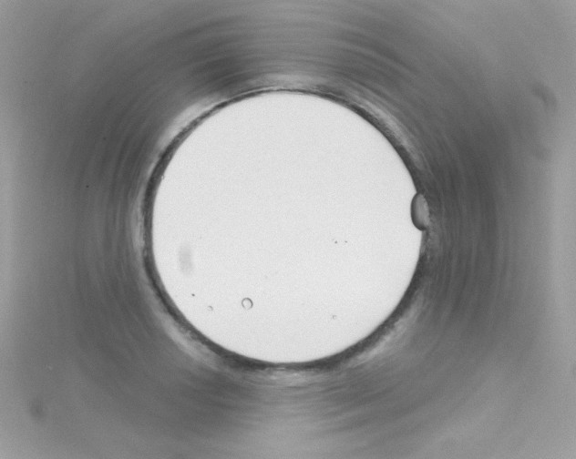 X0000114401034200911271513