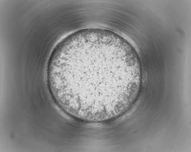 X0000114401037200911271513