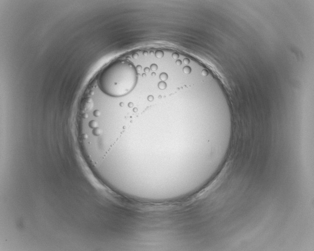 X0000114401038200911271513