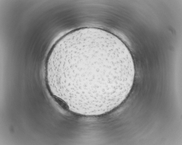 X0000114401040200911271513