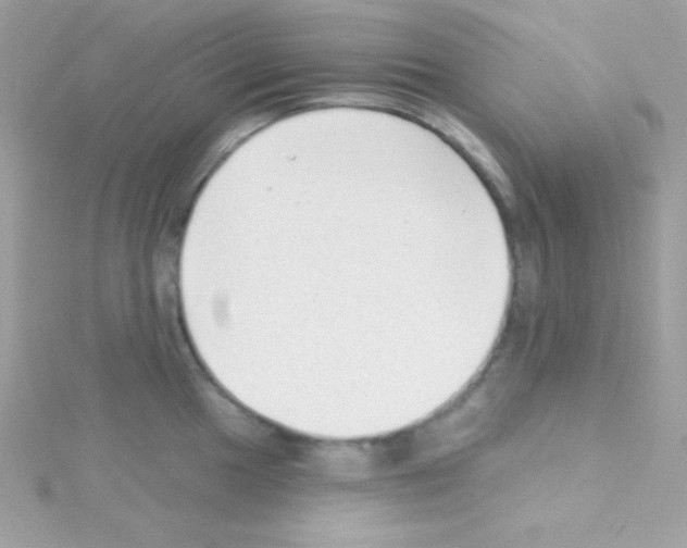 X0000114401049200911271514