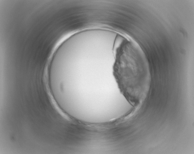 X0000114401053200911271514