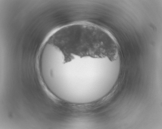 X0000114401054200911271514