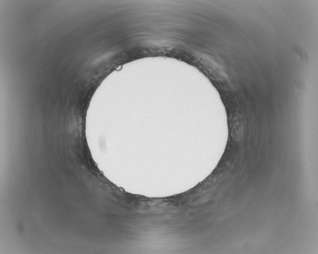 X0000114401061200911271513