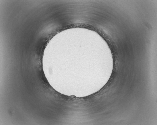 X0000114401062200911271513