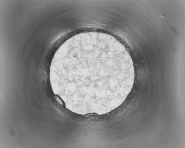 X0000114401064200911271513