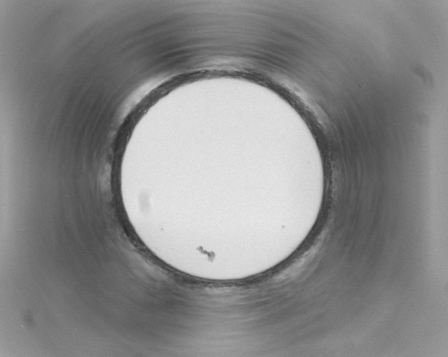 X0000114401066200911271513