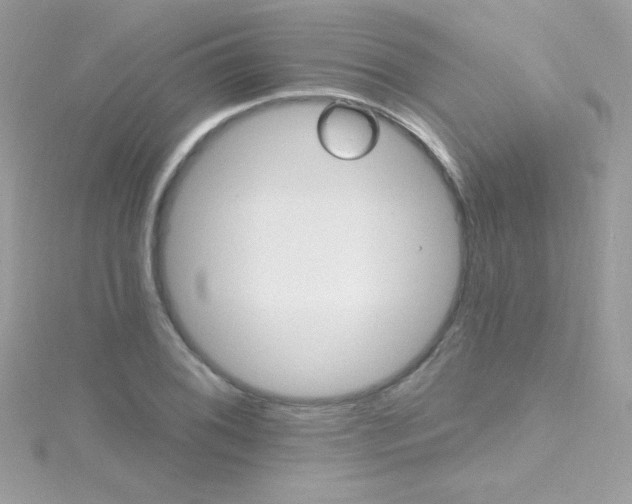 X0000114401076200911271513