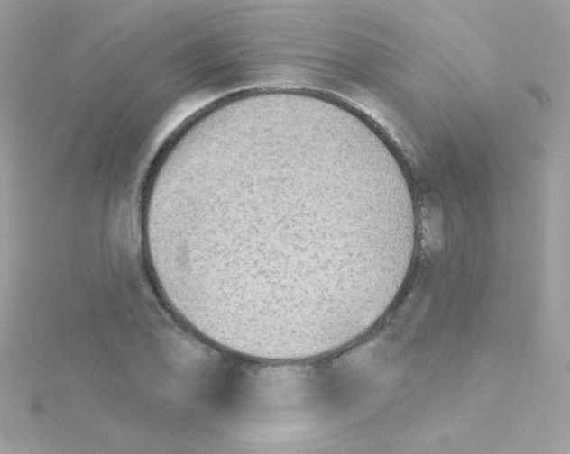 X0000114401078200911271513