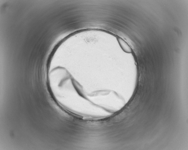 X0000114401080200911271513