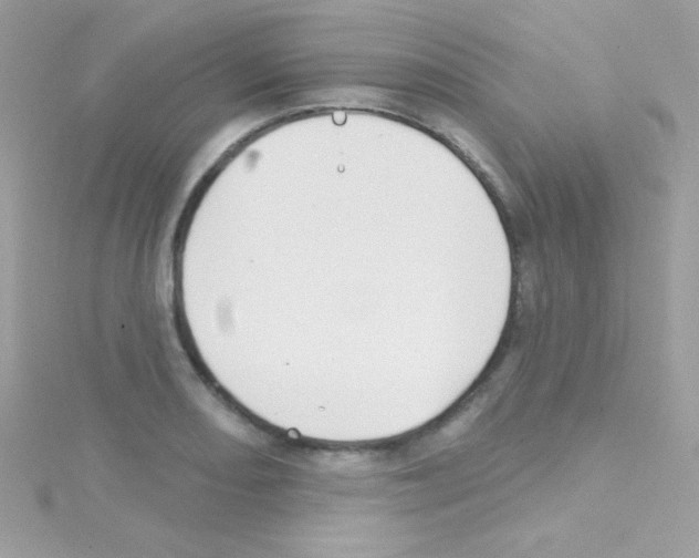 X0000114401082200911271513