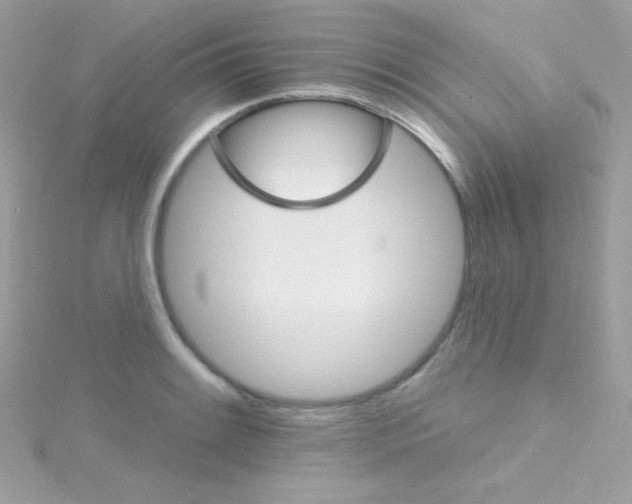 X0000114401084200911271513