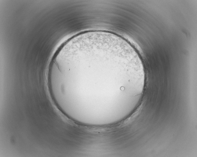 X0000114401085200911271513