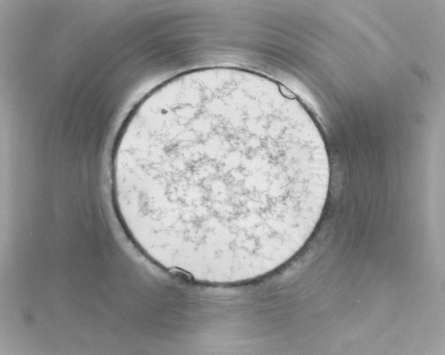 X0000114401088200911271513