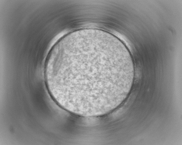 X0000114401090200911271513