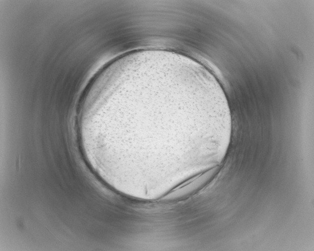 X0000114401091200911271513