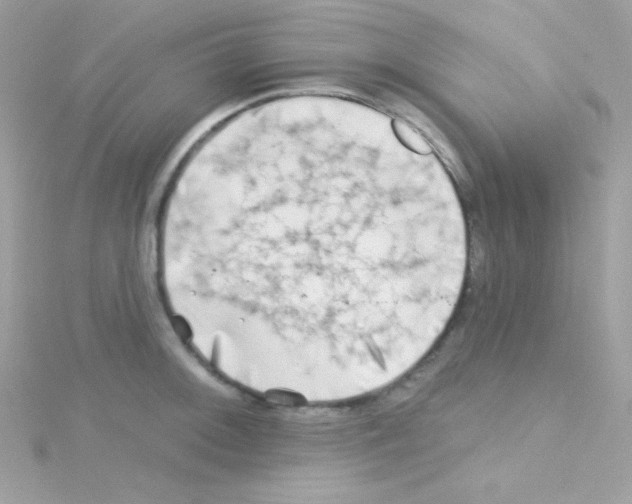 X0000114401092200911271513