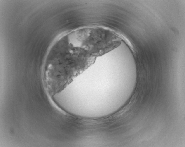 X0000114401095200911271513